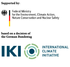 TLIF’s donors 